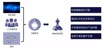 科技巨頭跨界種菜奪冠 AI農業時代已至，智能管理重塑田園